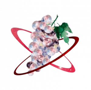 logo Planet of the Grapes